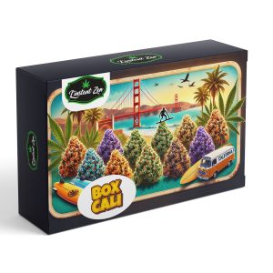 Box Cali - CBD Premium - Californienne