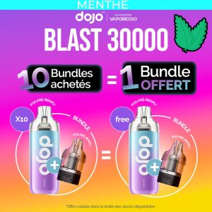 Offre 10 + 1 Dojo Blast 30000 -  Bundle Kit - Menthe Glacée