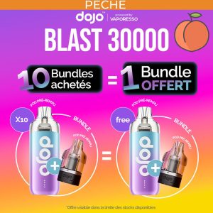 Offre 10 + 1 Dojo Blast 30000 -  Bundle Kit - Pêche Glacée