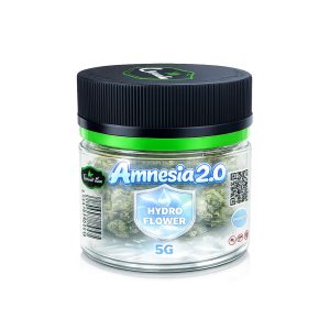 Amnesia 2.0 CBD 22-26% – Fleur Hydroponique - HIGH CBD