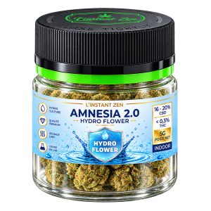 Amnesia 2.0 CBD 22-26% – Fleur Hydroponique - HIGH CBD