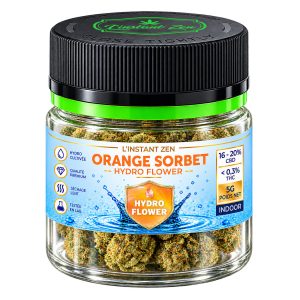 Orange Sorbet CBD 22-26% – Fleur Hydroponique - HIGH CBD